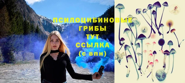тгк Алексеевка