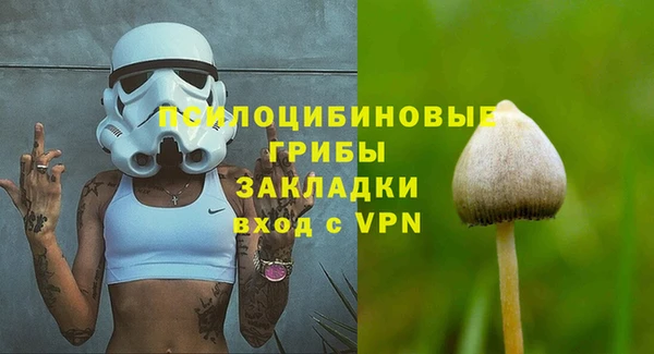 эйфоретик Алексин